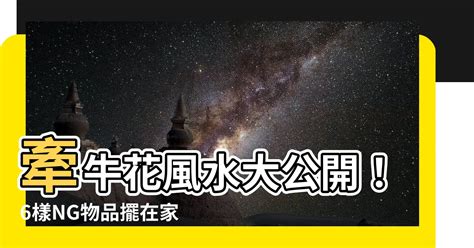 牽牛花風水|【牽牛花風水】牽牛花風水大公開！6樣NG物品擺在家，衰運10年。